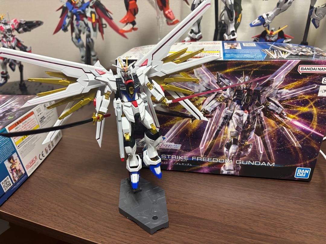 Seed FREEDOM hg 4体セット　組み立て済み