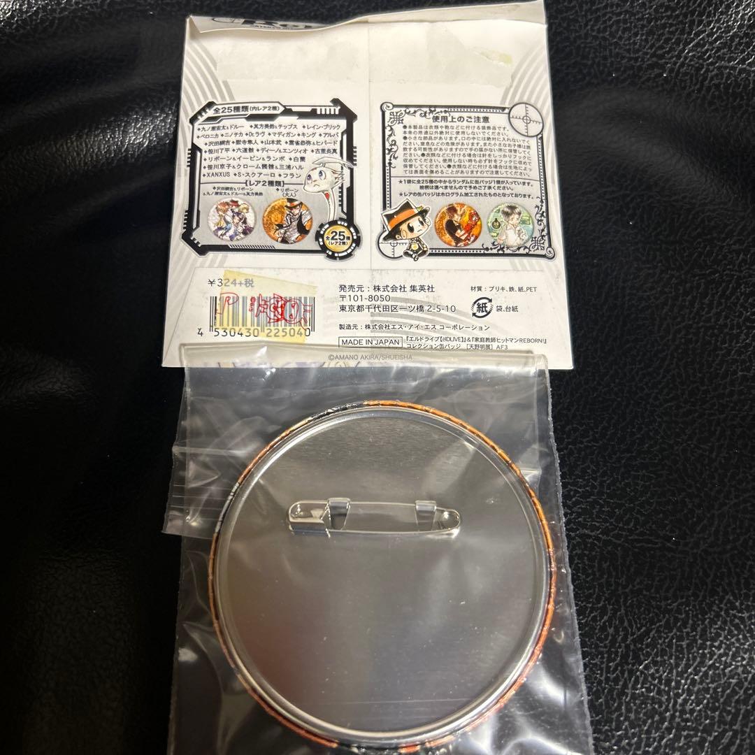 家庭教師ヒットマンREBORN! 天野明展 コレクション缶バッジ 大人リボーン