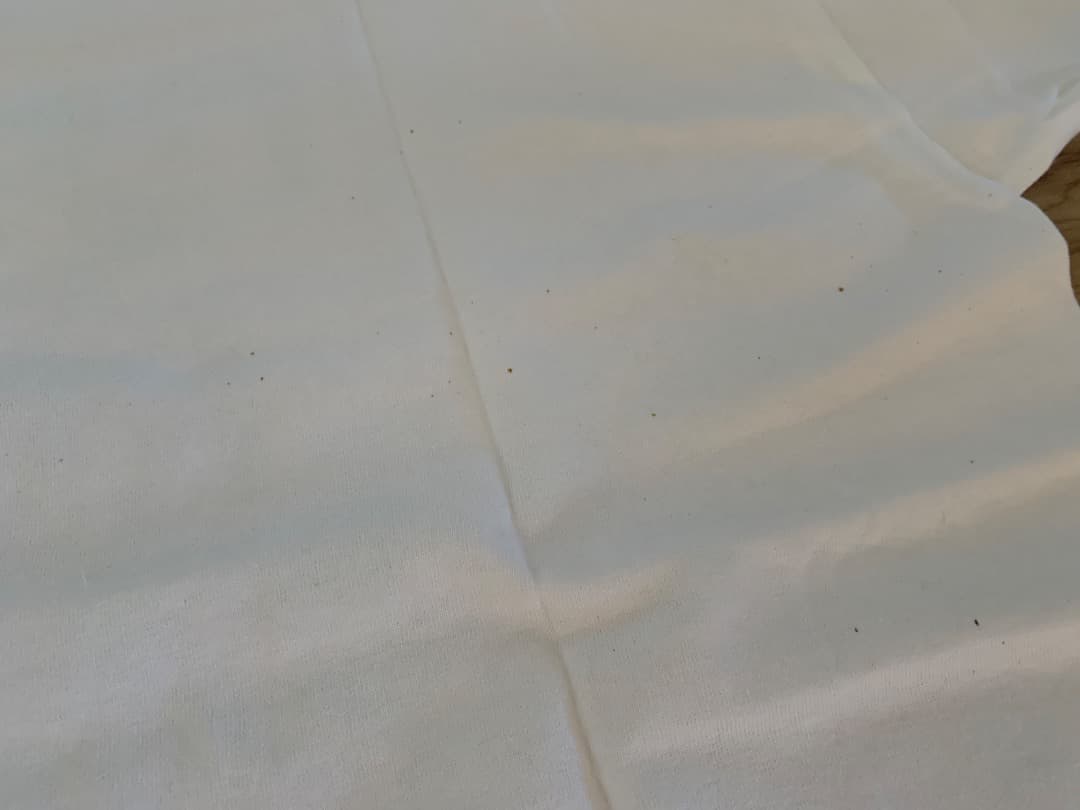 希少 MASTERPIECE Pete Rock ピートロック Tシャツ XL