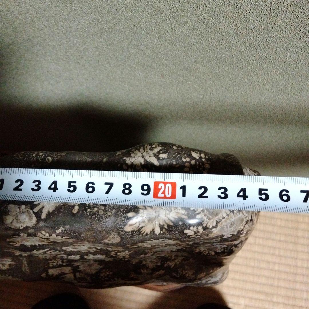 菊花石　特大　石