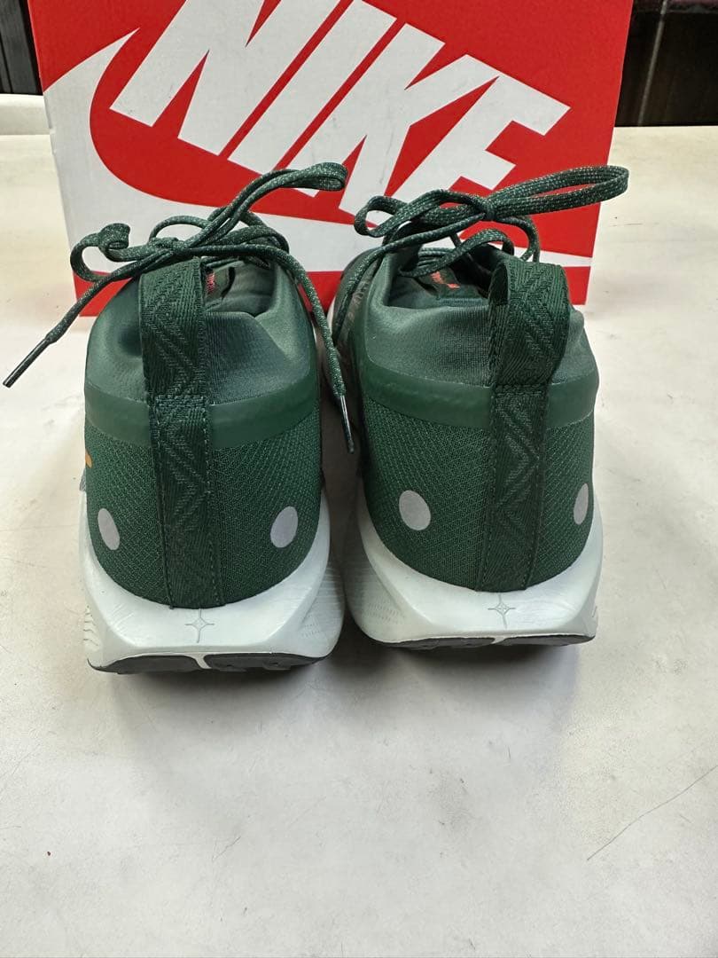 29センチNIKE GORE-TEX PEGASUS TRAIL 5 GTX