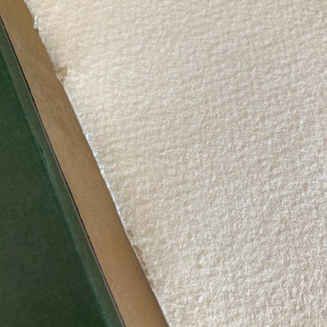 カルロ・ルヴァニャン｜キオッジャ｜ 水彩画｜原画｜20世紀アンティーク品