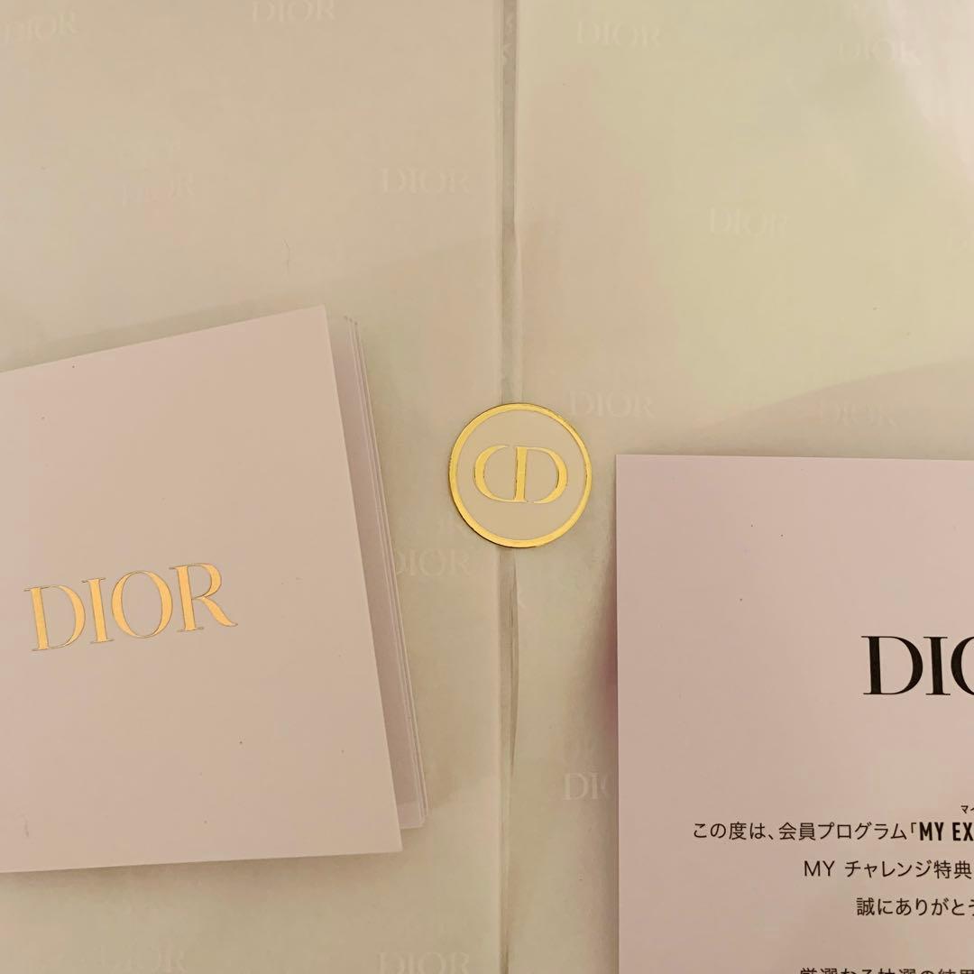 Dior マイチャレンジ パズル
