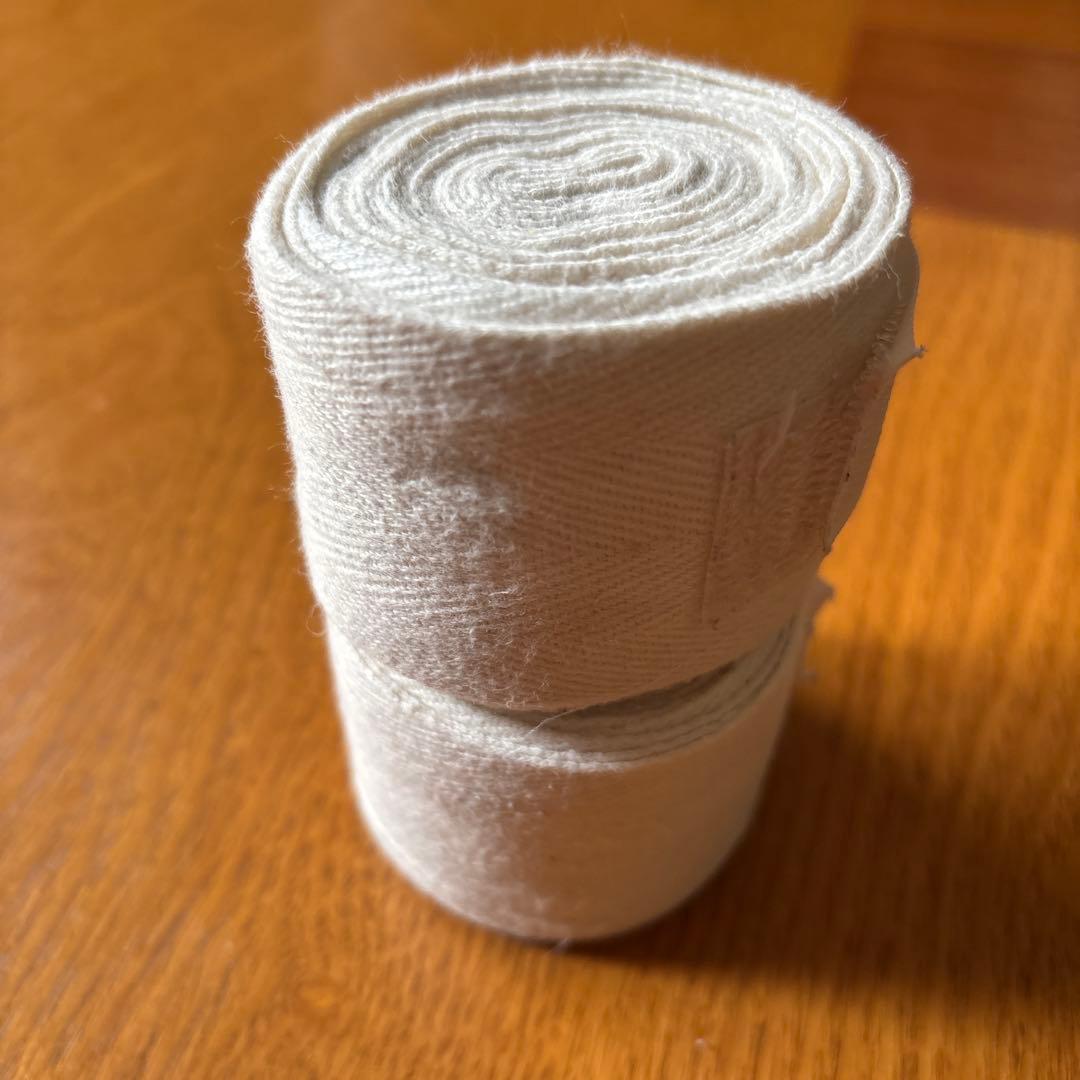 TITLE スパーリンググローブ　14オンス　WBCモデル　ボクシング