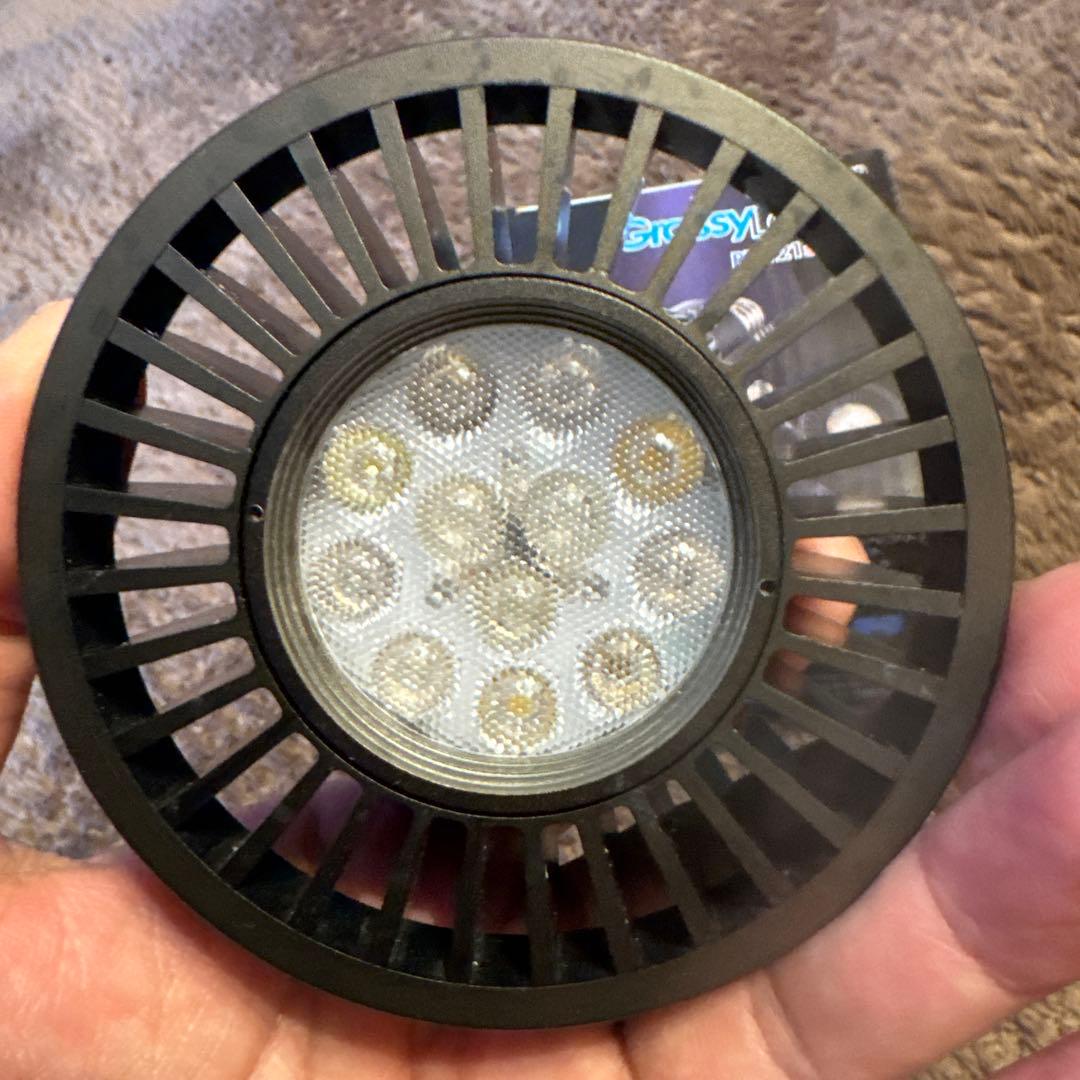 volxjapan GrassyLeDioRX121s RFB LEDライト