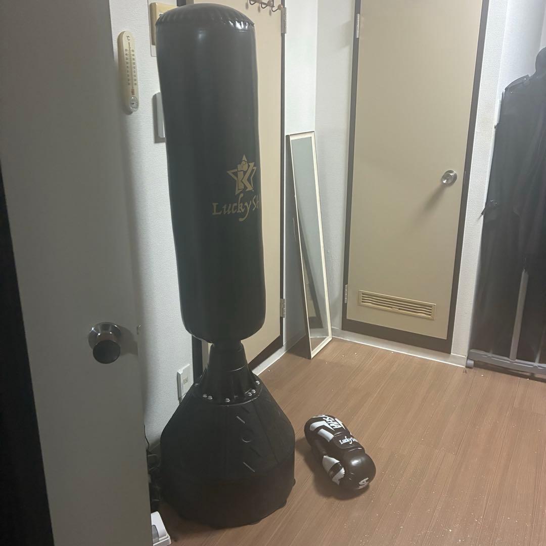【定価1.5万円】サンドバッグ&グローブ【直渡し】