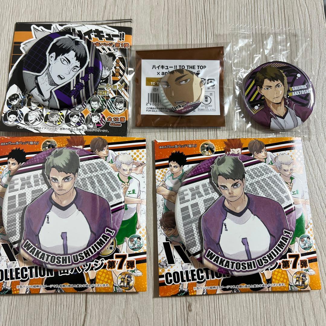 ハイキュー!!白鳥沢学園 牛島若利 コレクターズアイテム16個セット