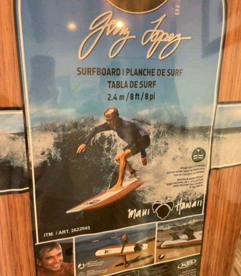 【引取限定】ジェリーロペス　ロングボード　初心者にもオススメ