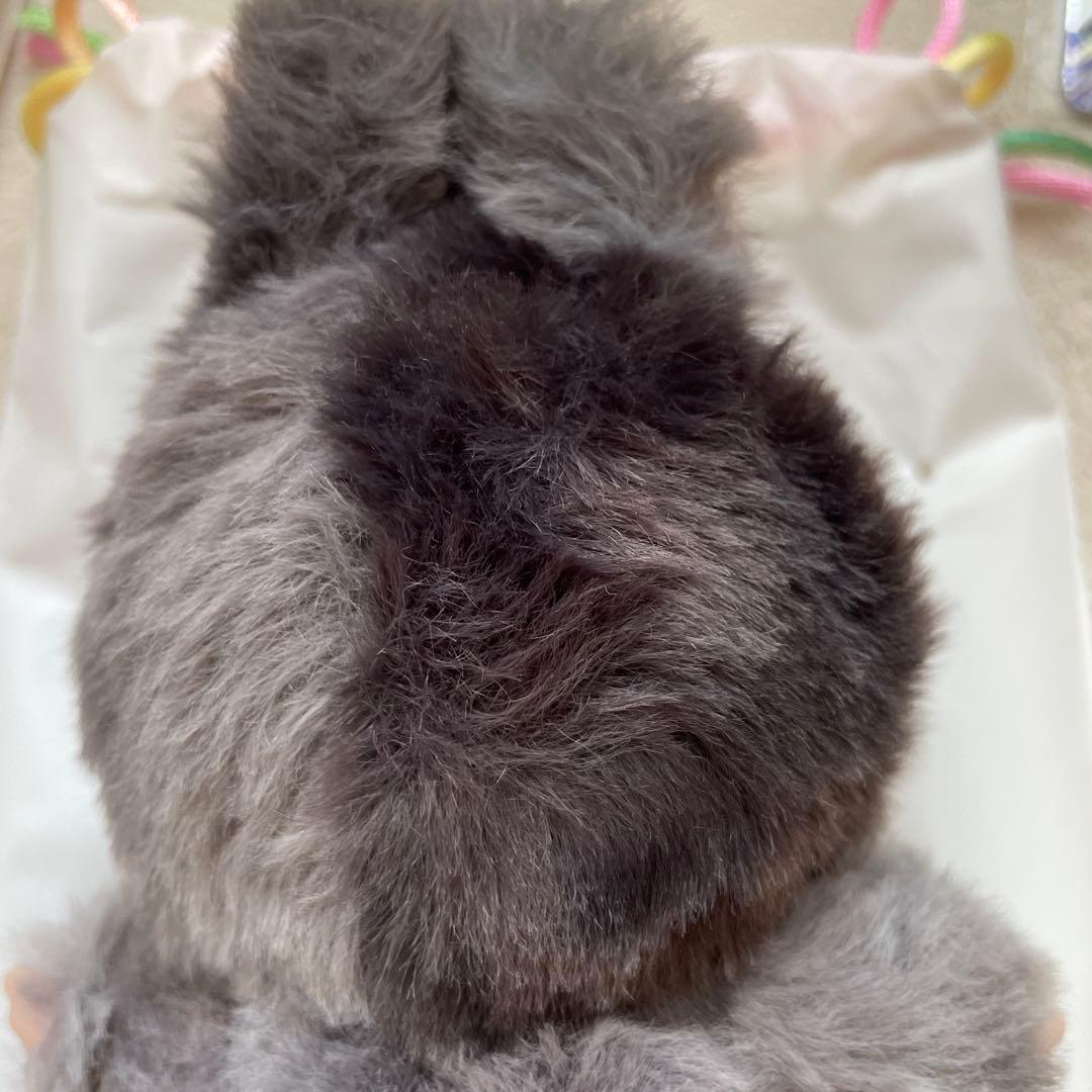 POP MART LABUBU ポップマート ラブブ