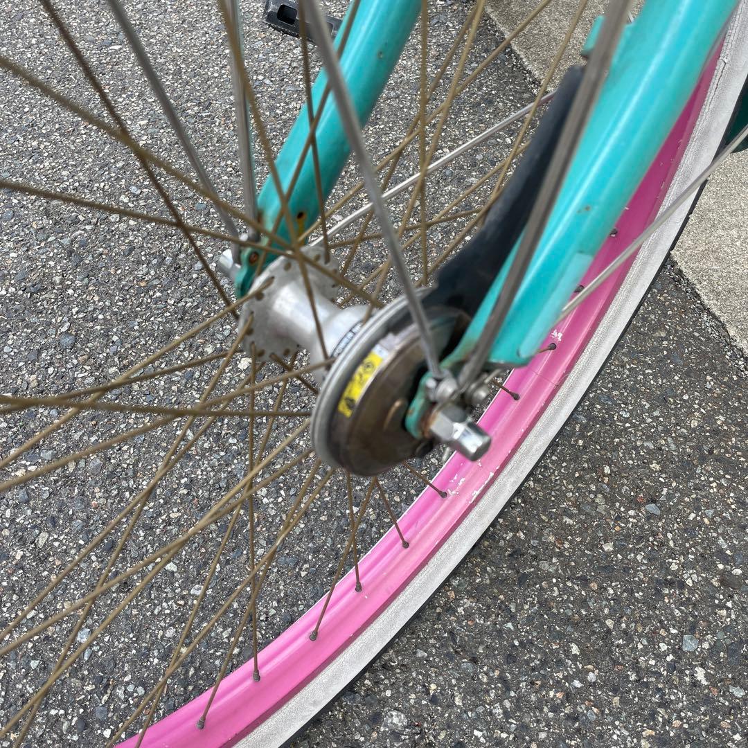 エレクトラ　ビーチクルーザー　蓮の花