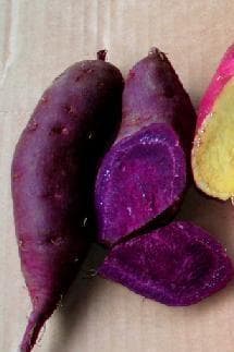 江子サツマイモアヤ紫２０ｋｇ＾～2