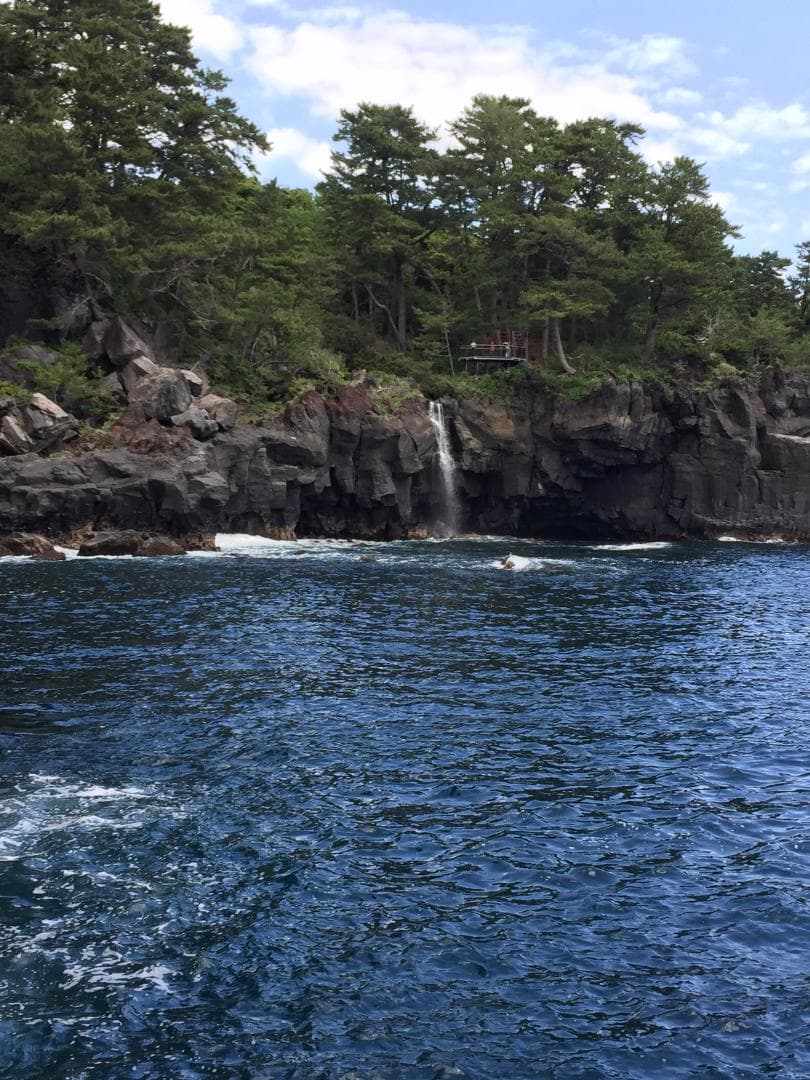 伊豆産 国産 非加熱 サクラ蜜4本と夏の百花蜜 １本　300g×５本セット