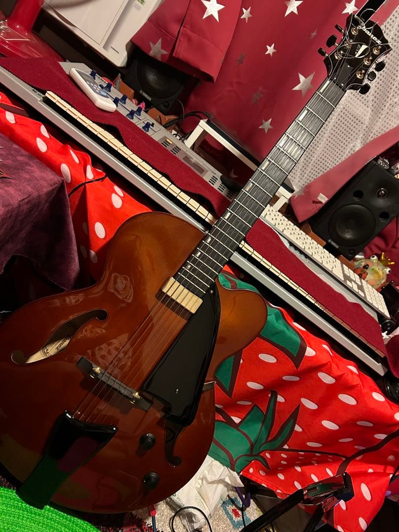 Ibanez フルアコ AFC-151 (ハードケース付き)