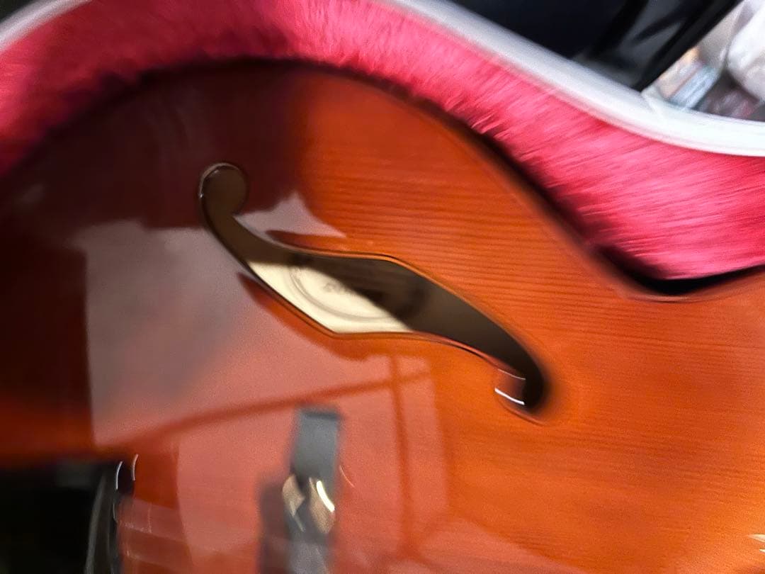 Ibanez フルアコ AFC-151 (ハードケース付き)