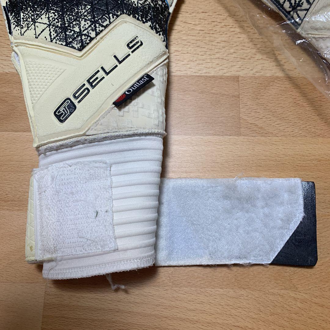 9号　セルス　トータルコンタクト　エリート　アクア　カンピオーネ