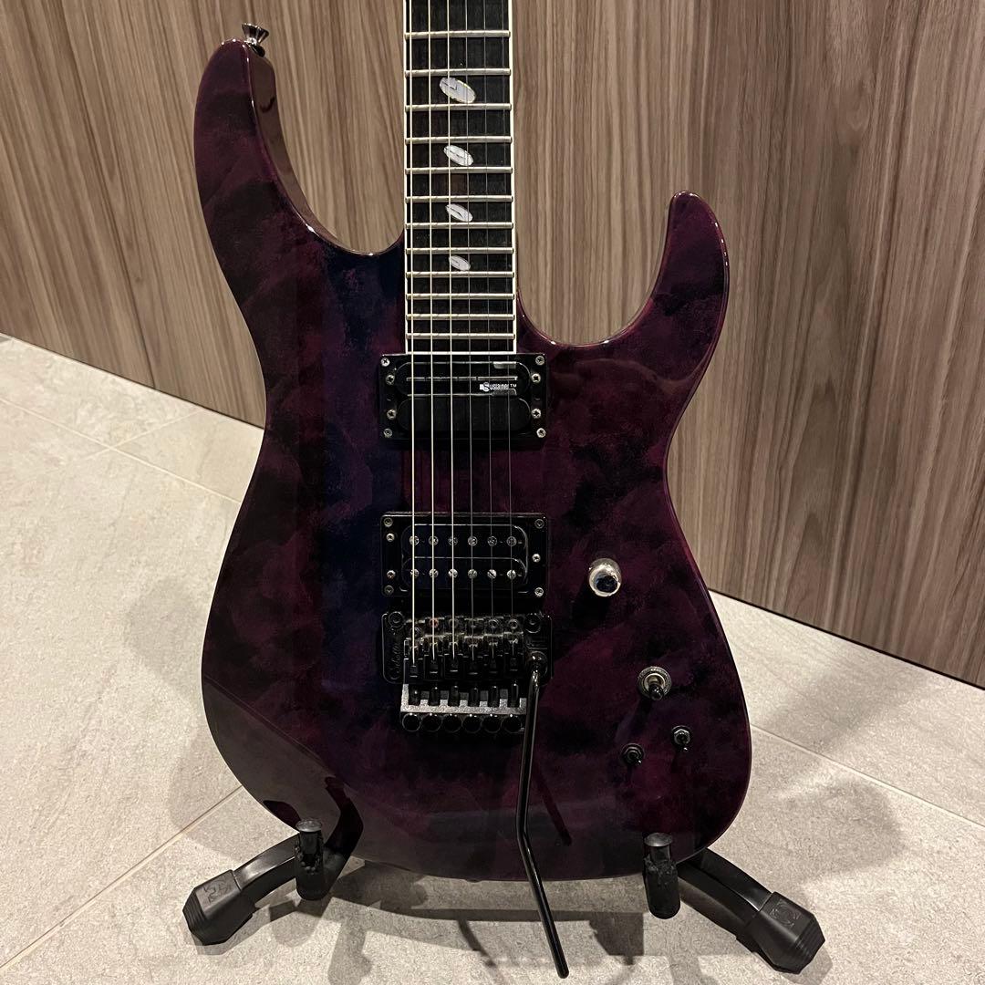 Caparison Dellinger (サスティナー仕様)