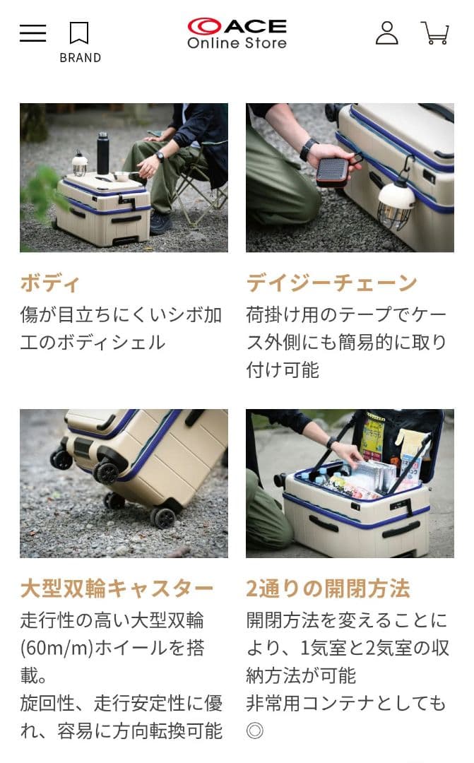 ACE テオフィールド　32L　持ち込み可　TSAロック付き　黒　スーツケース