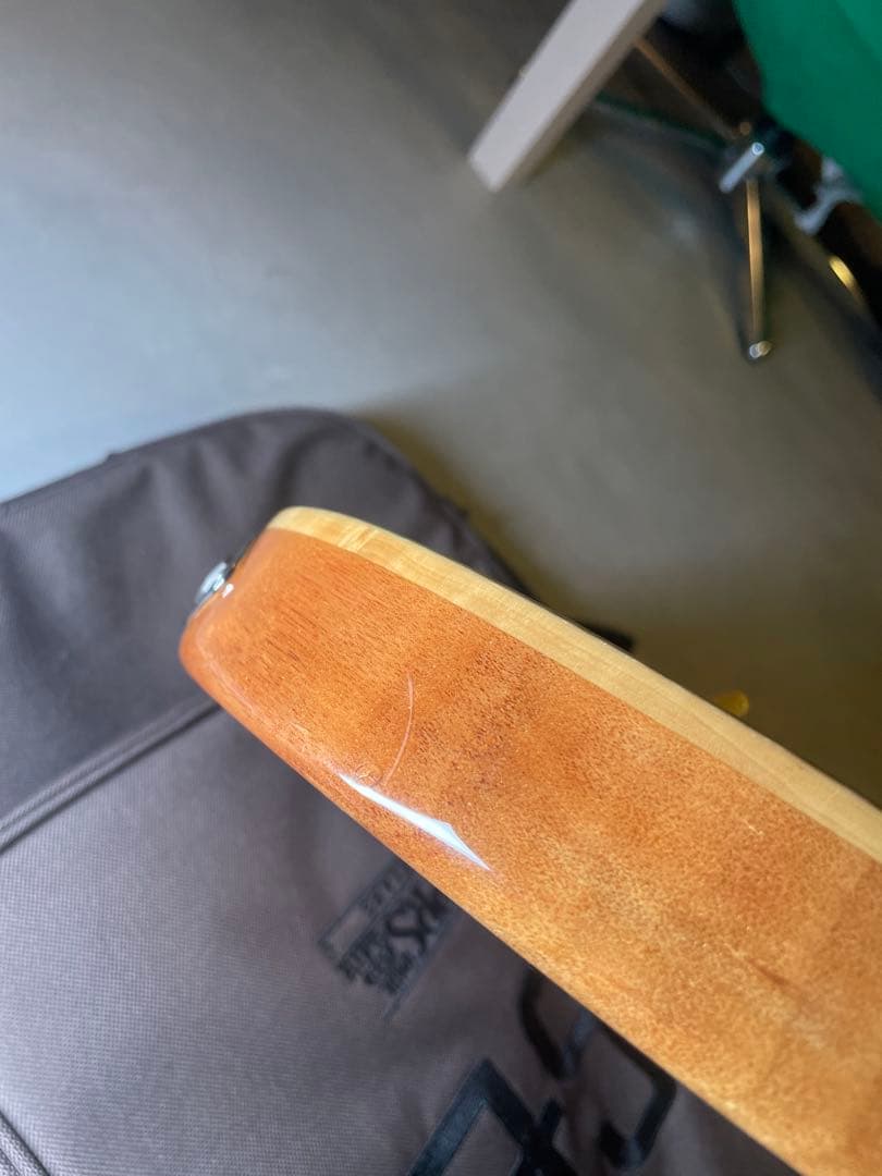 ギター PRS SE custom24 Trampas Green