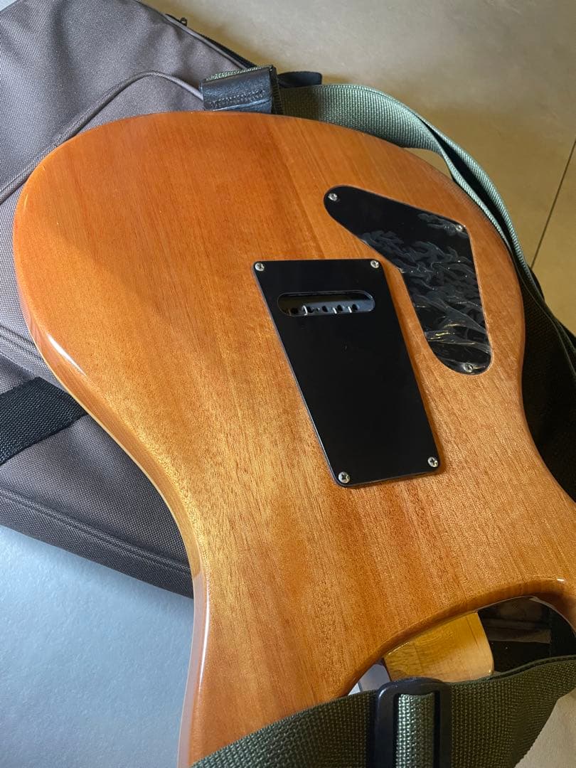 ギター PRS SE custom24 Trampas Green