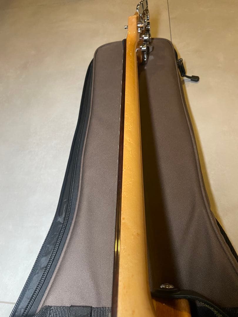 ギター PRS SE custom24 Trampas Green