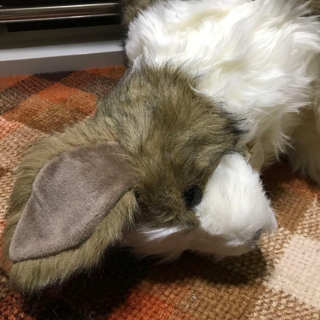 ぬいぐるみ　犬　いぬ　垂れ耳　FIRST×CELINE❣️