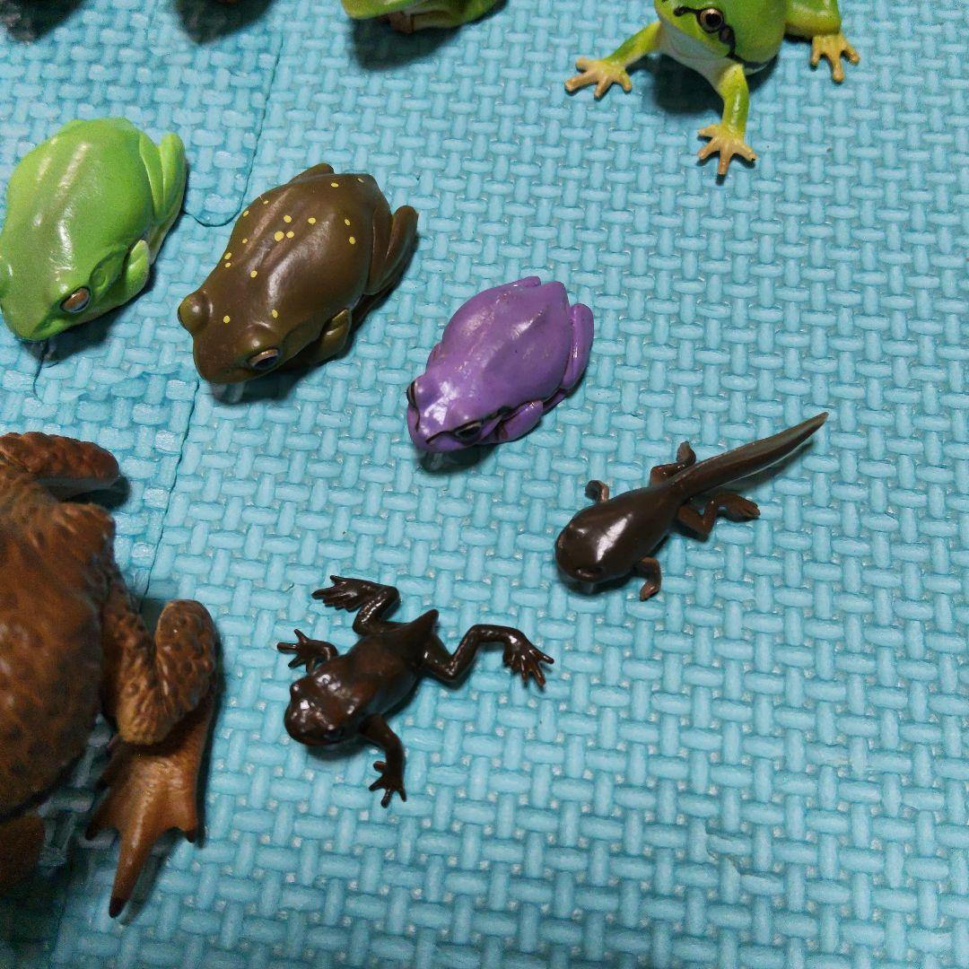 カエル　フィギュア　マグネット