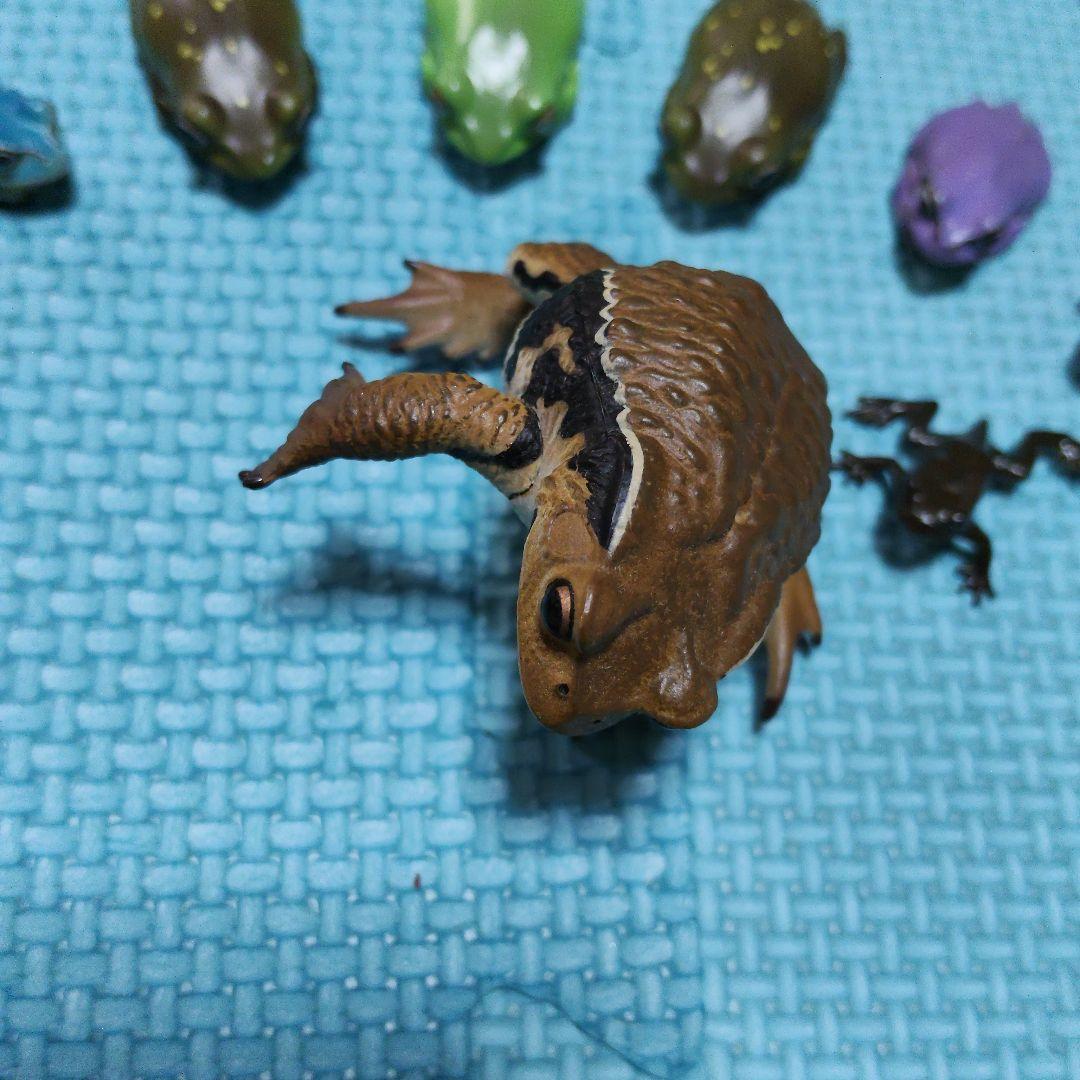 カエル　フィギュア　マグネット