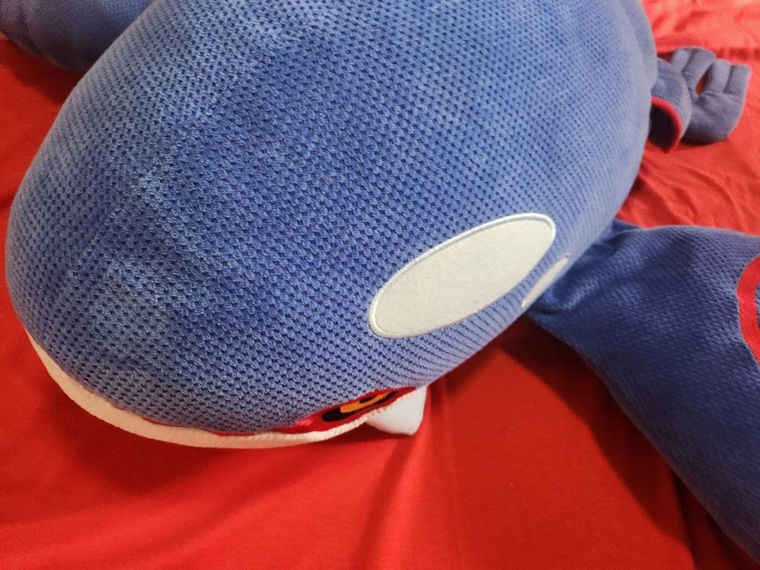 ポケモン　ハートランド　カイオーガ　ぬいぐるみ　ほーのぼ～の