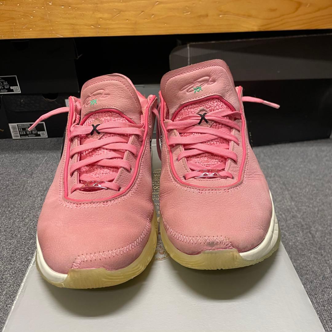 シューズ(男性用) NIKE LeBron20 South Beast