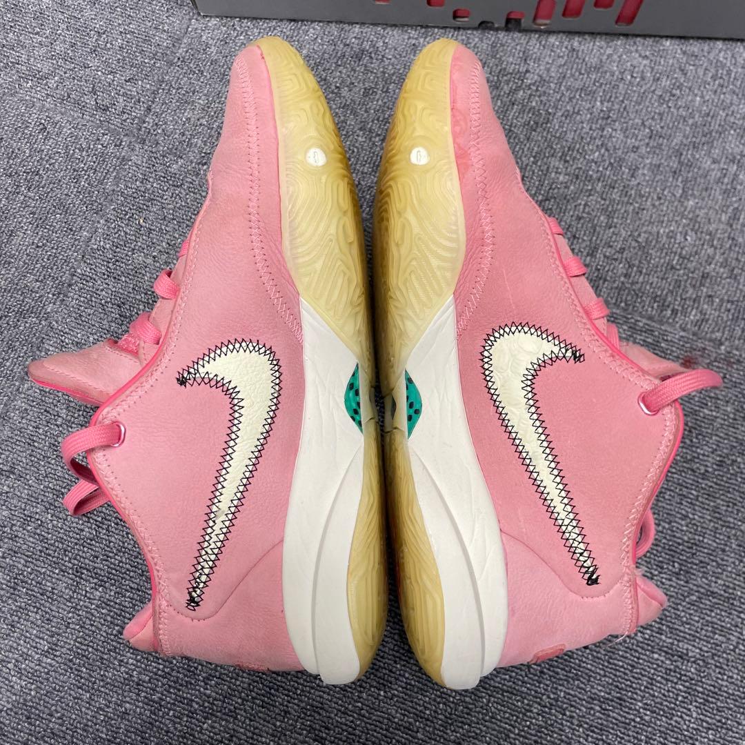 シューズ(男性用) NIKE LeBron20 South Beast