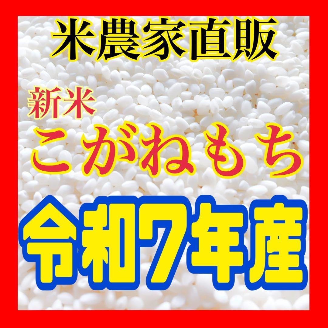 農家直販 減農薬 令和7年 こがねもち もち米 10キロ 玄米 白米も可