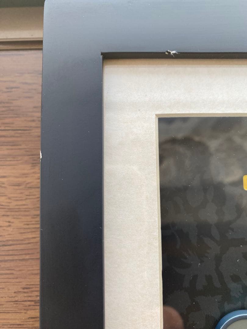 シンオウ ジムバッジ コレクション フレーム付き