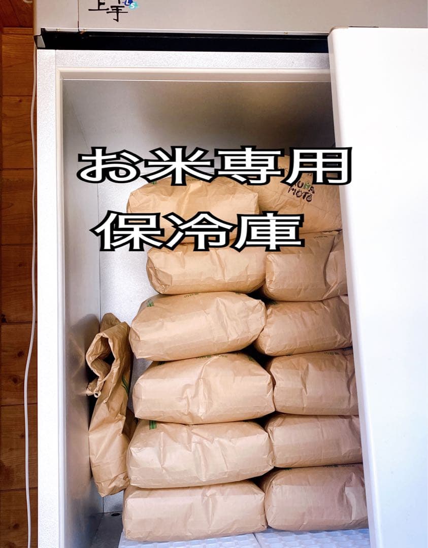 令和７年産　熊本県産　くまさんの輝き　玄米　30キロ　送料込　新米