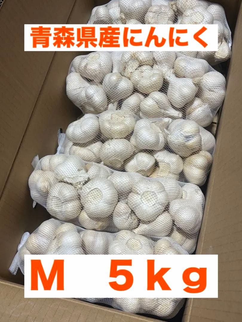 青森県産にんにく　Ｍ　５ｋｇ