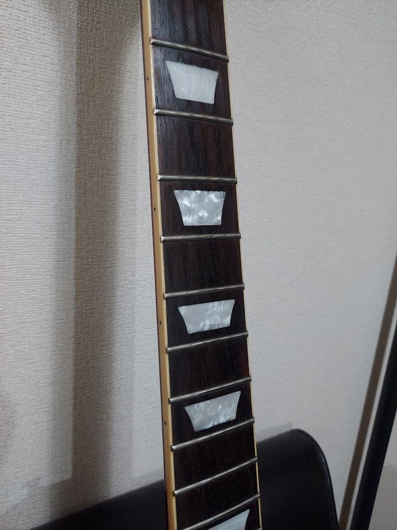 エピフォン Epiphone LesPaul standard pro 虎目