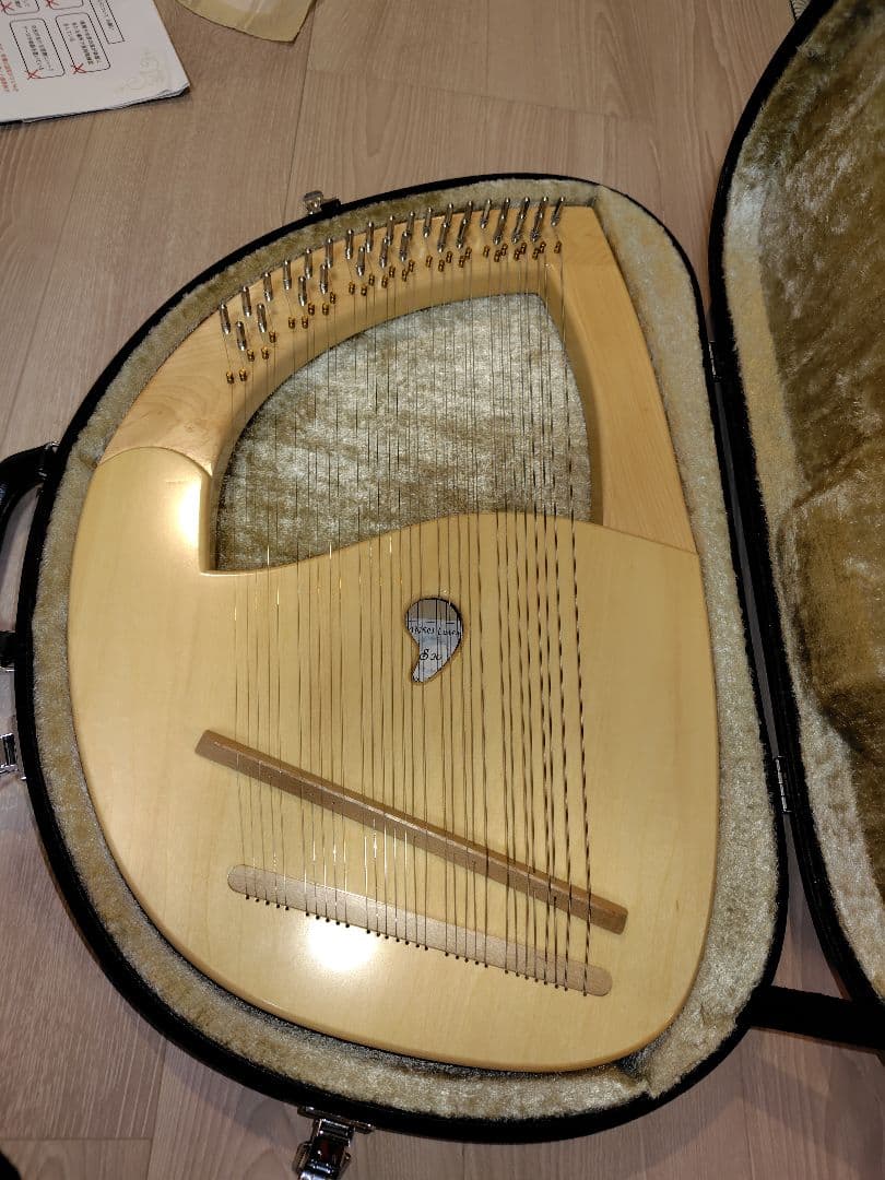 KT　三創ライアー　30弦