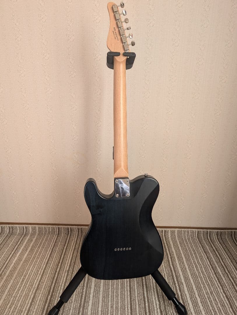 最終値下げシェクター　ol-pt22 テレキャス