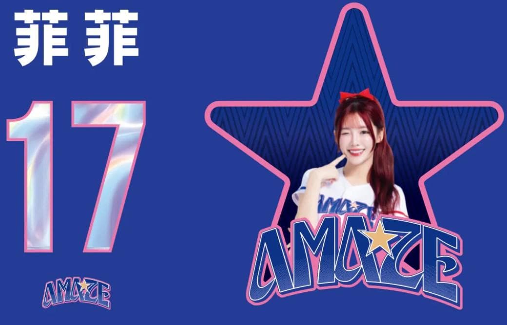 2026　WBC　17　菲菲　フェイフェ　応援　Tシャツ　ブルー