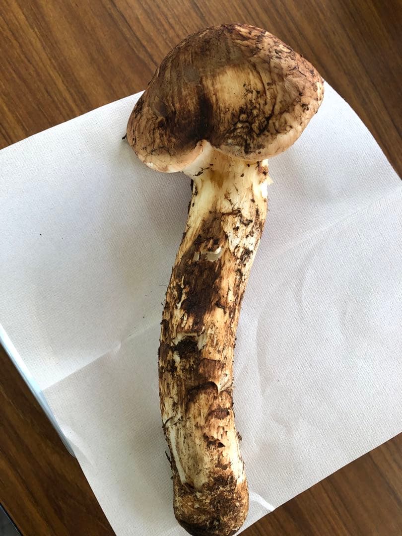 岩手県産　上物天然松茸（180.5g）