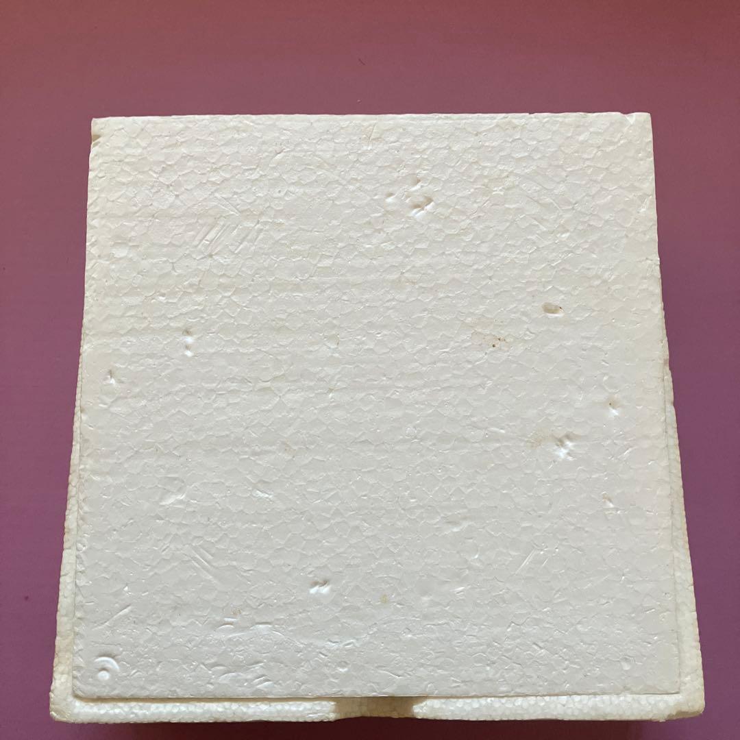 トミーラデオレーサー スカイライン　シルエット