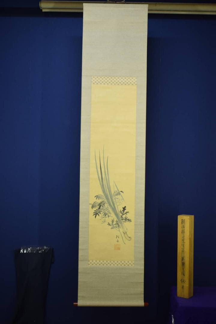 真作/広島県/福山市/羽田桂舟/菖蒲図/桐題箱付/布袋屋掛軸HI-470