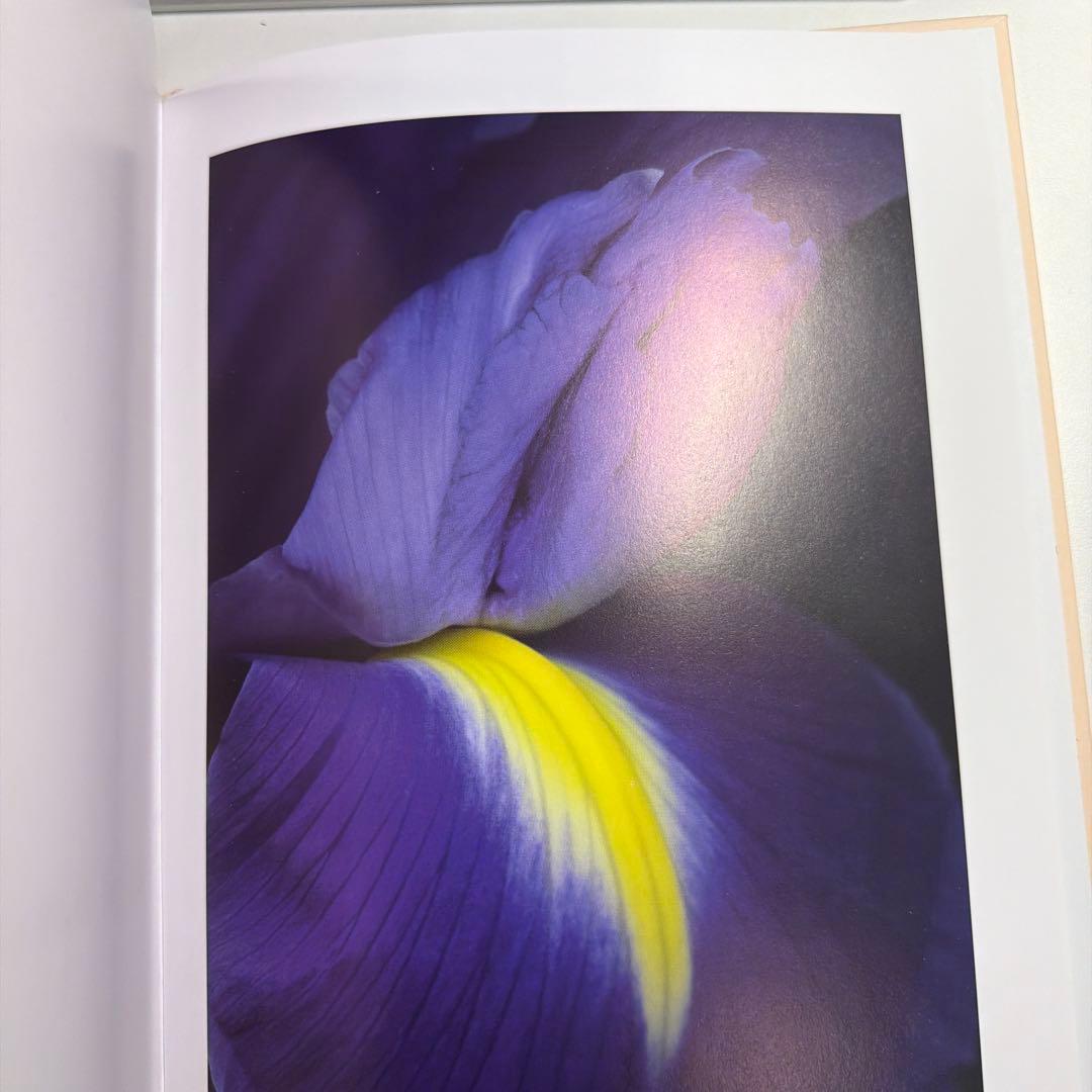 ヘルマン・フォスターリング『Flora Magica』(2006)