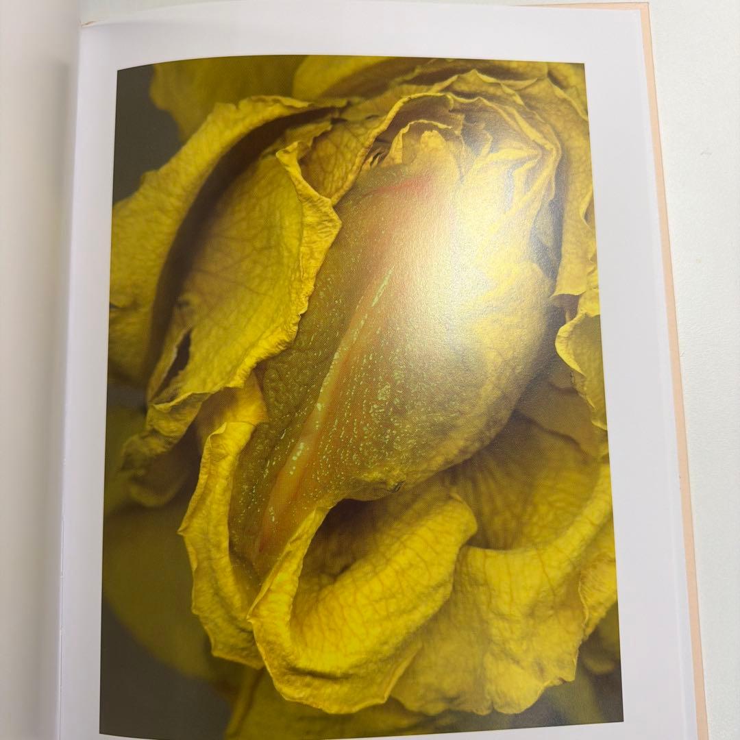 ヘルマン・フォスターリング『Flora Magica』(2006)