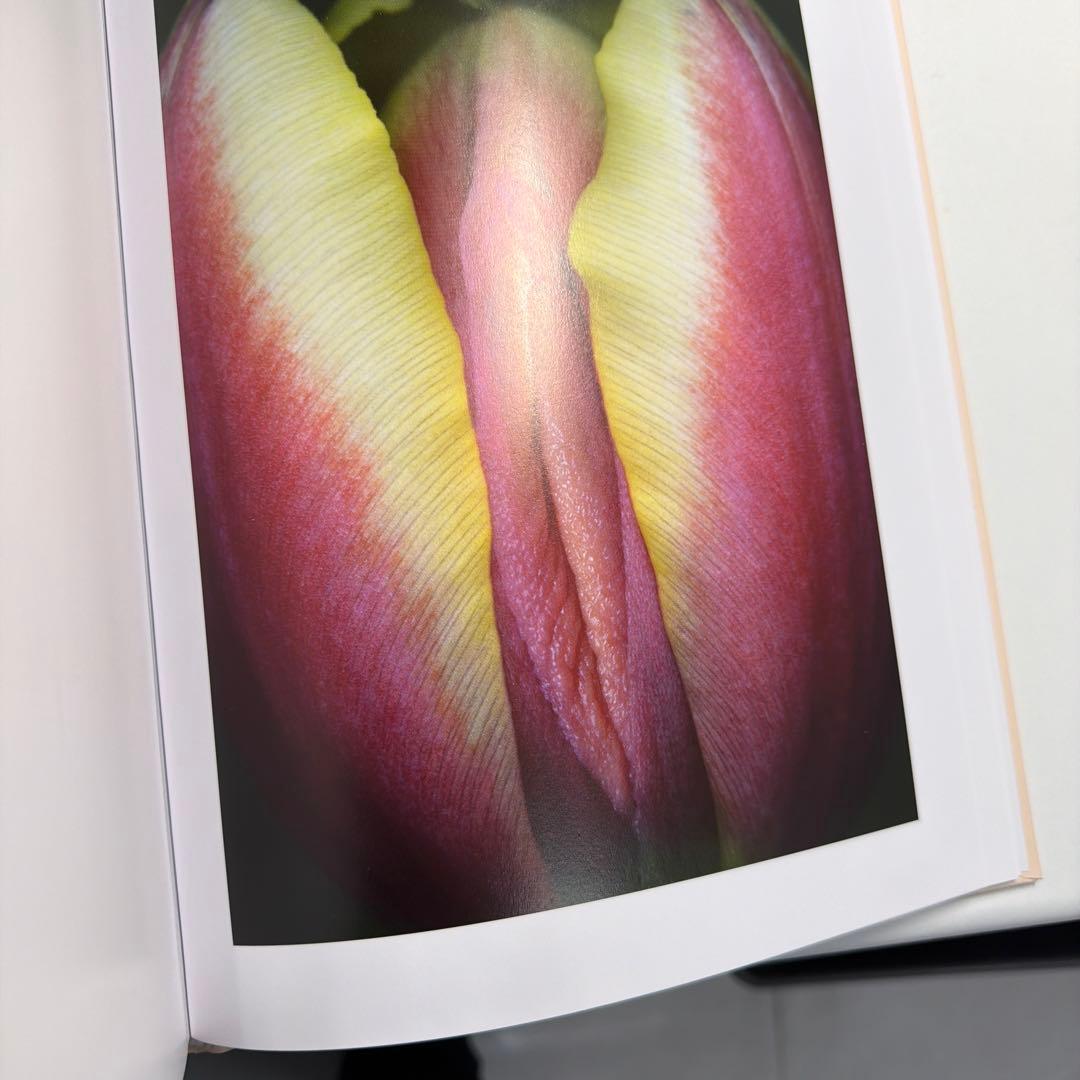 ヘルマン・フォスターリング『Flora Magica』(2006)