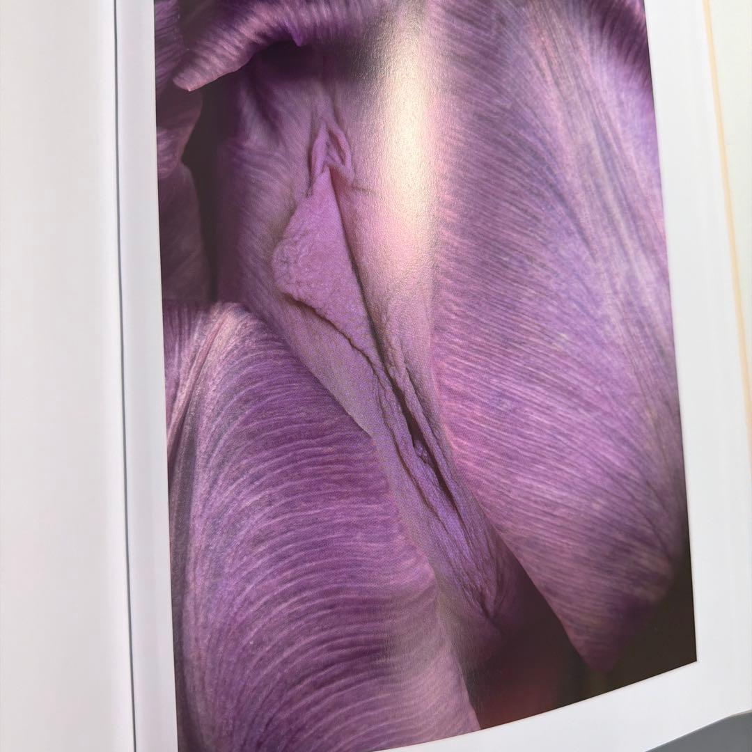 ヘルマン・フォスターリング『Flora Magica』(2006)