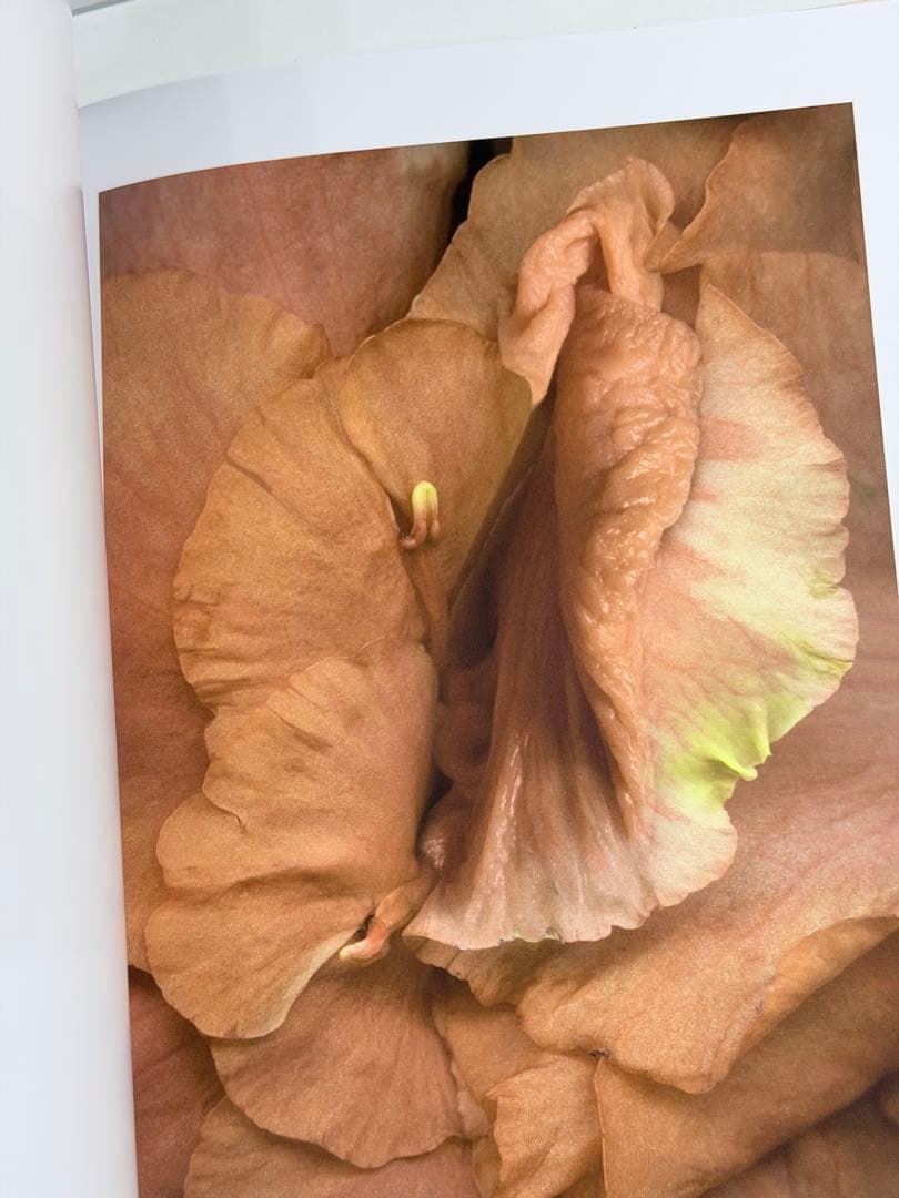 ヘルマン・フォスターリング『Flora Magica』(2006)