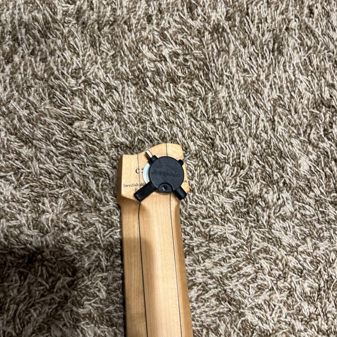 【美品】strandbergNX6 BodenStandard6弦ギター 付属品