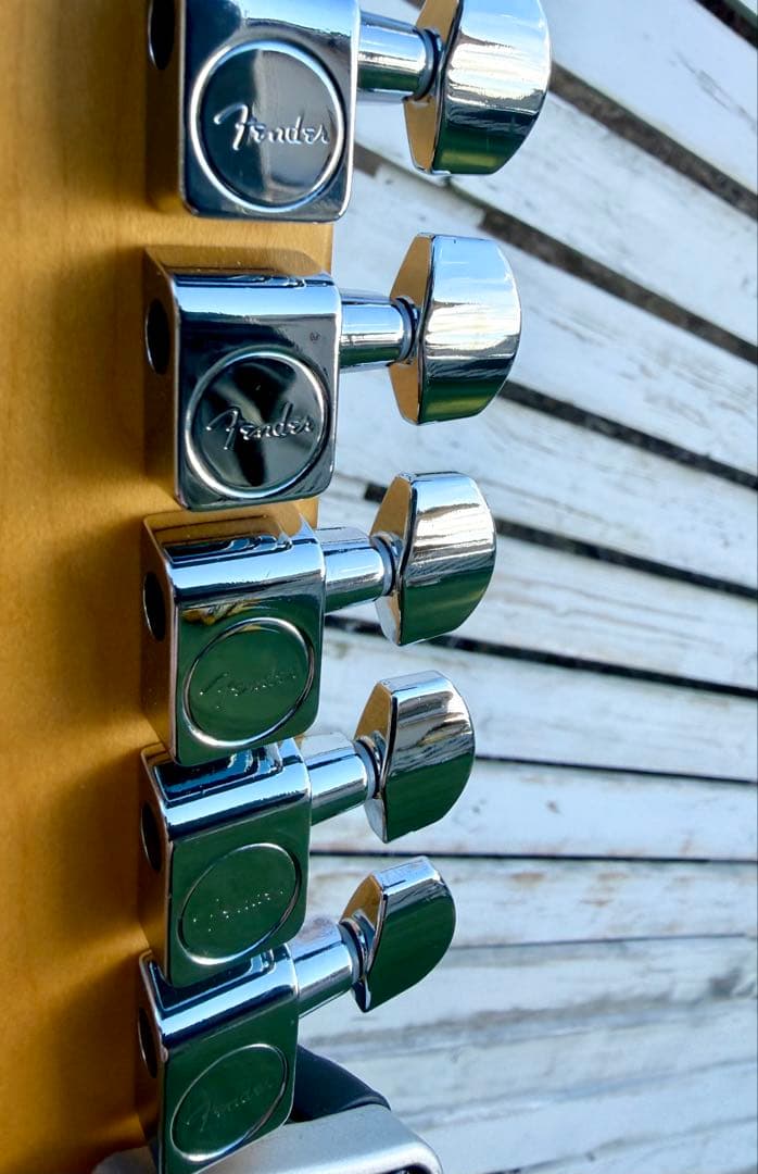 ギター Fender American Professional II St.