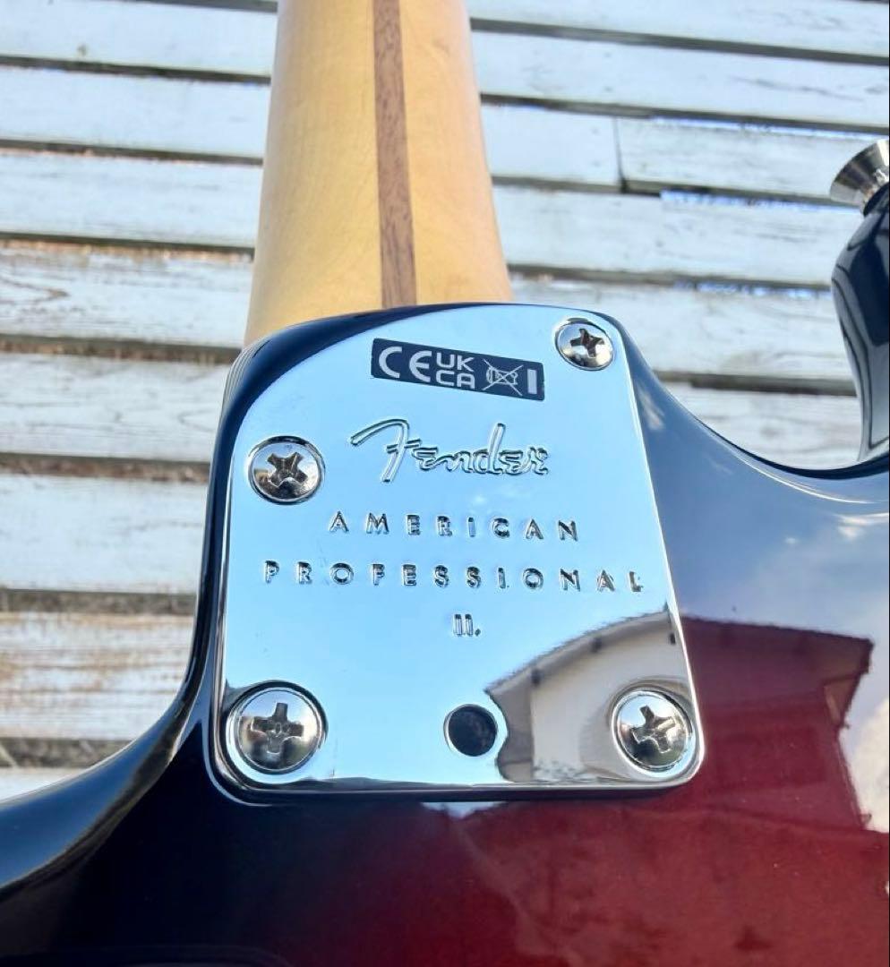 ギター Fender American Professional II St.