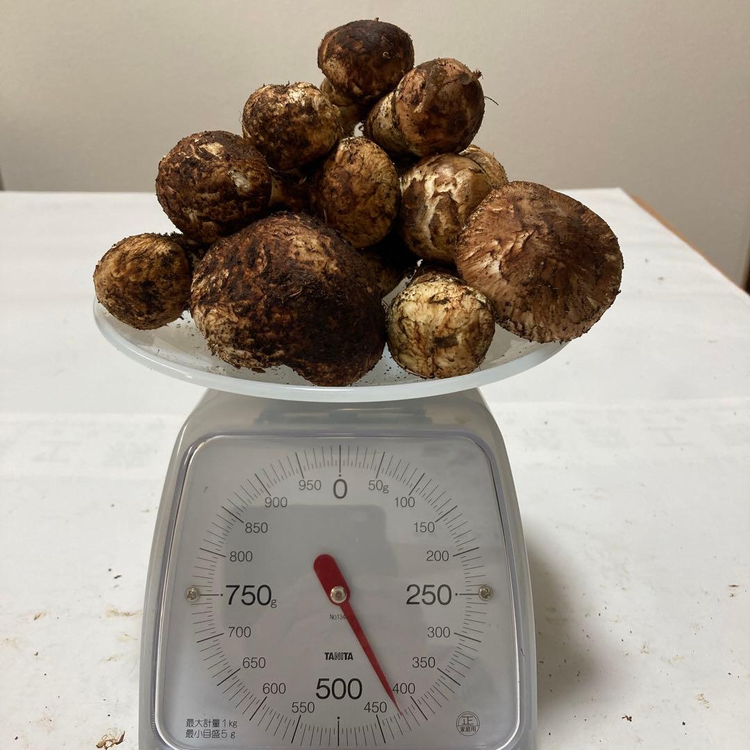 岩手県産　松茸　410g